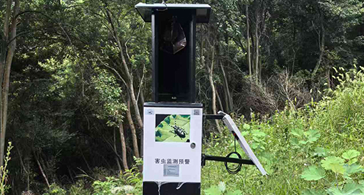 浙江植保提升项目